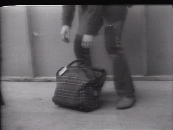Airplane Travel — William Wegman