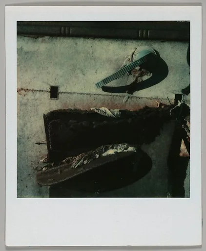 [Junked Car Door]