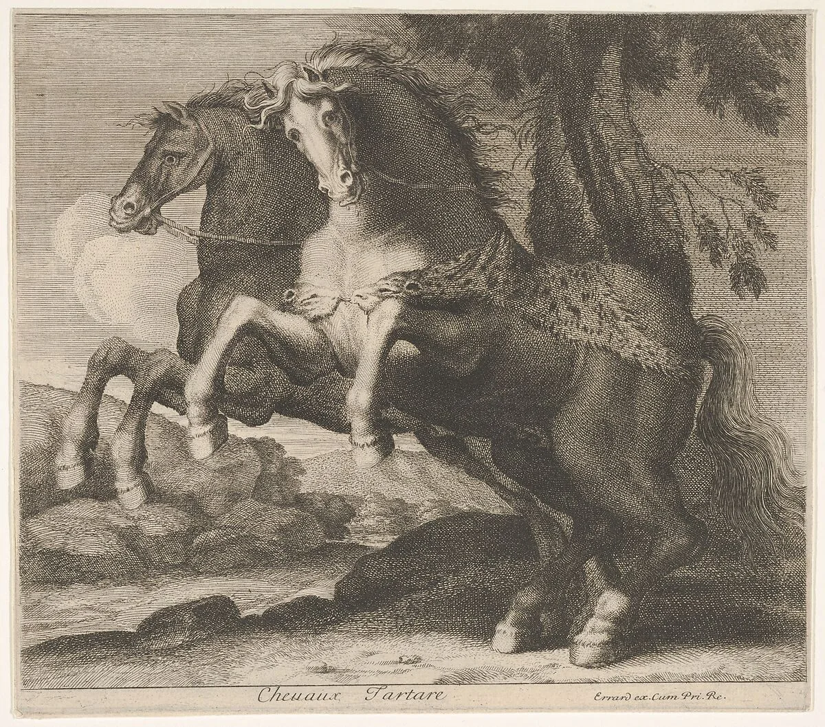 Chevaux Tartare — Charles Errard le fils