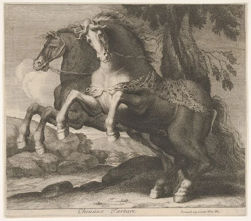 Chevaux Tartare