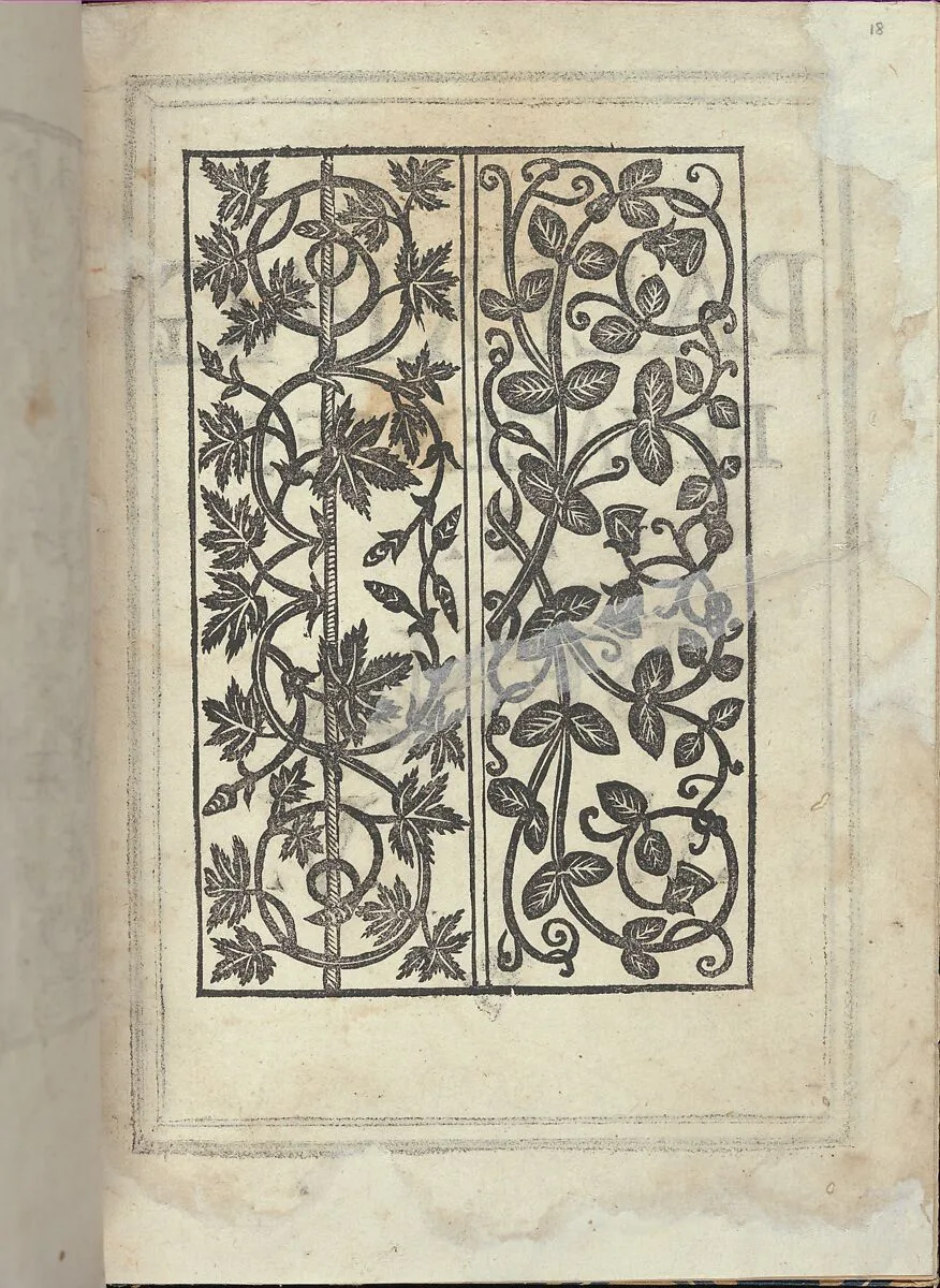 Libro quarto. De rechami per elquale se impara in diuersi modi lordine e il modo de recamare...Opera noua, page 18 (recto) — Alessandro Paganino
