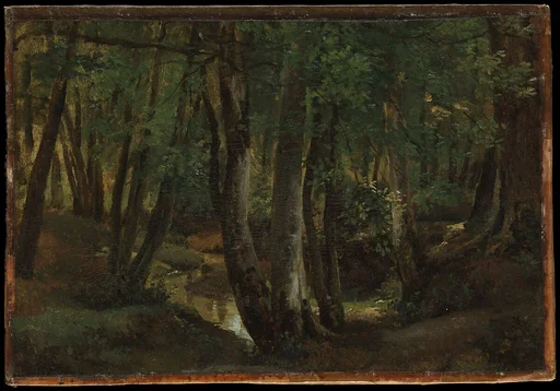 Interior of a Wood at Pierrefitte