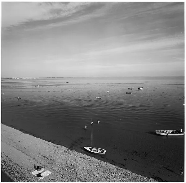 Cape Cod — Harry Callahan