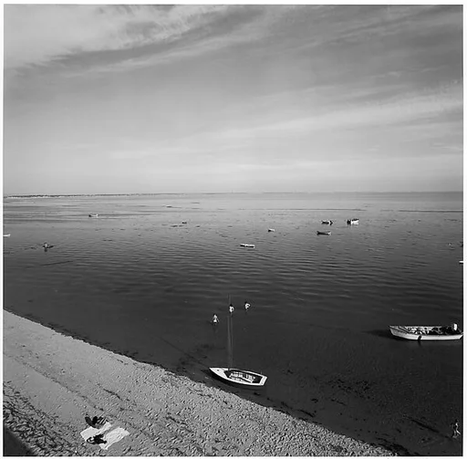 Cape Cod