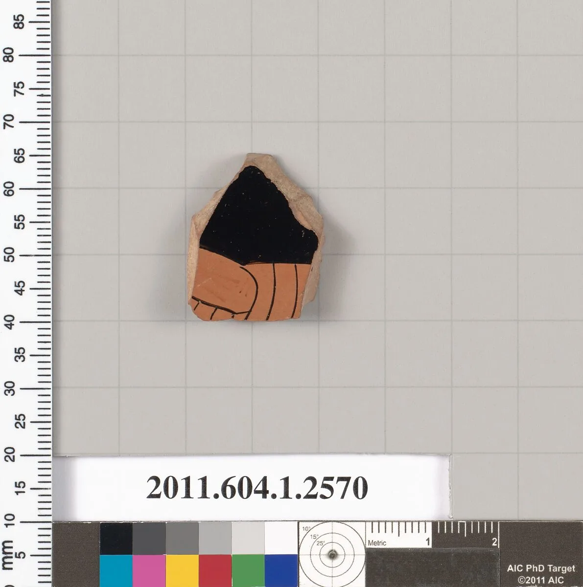 Terracotta fragment of a kylix (drinking cup) — Unknown
