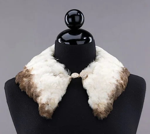 Collar