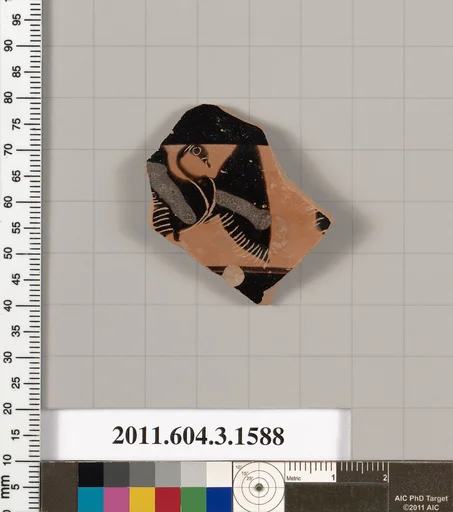 Terracotta fragment of a kylix: Band cup (drinking cup)