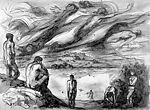The Marne: Landscape with Figures and Clouds — Pavel Tchelitchew