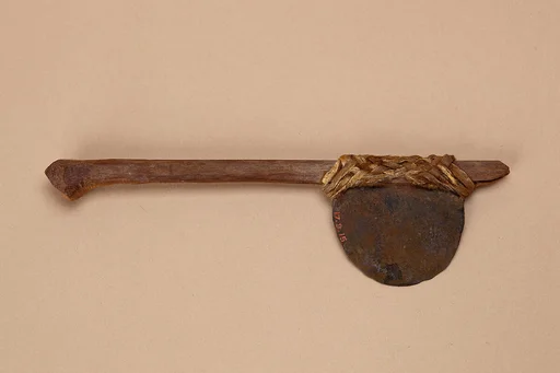 Model ax