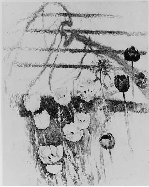 Tulips — Lilian Westcott Hale