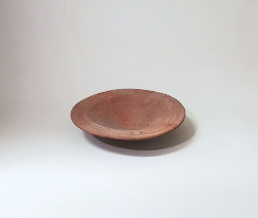 Dish