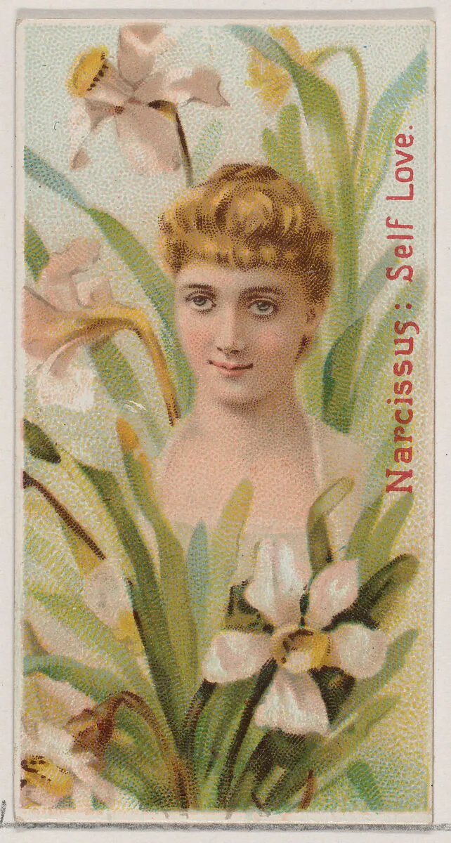 Narcissus: Self Love, from the series Floral Beauties and Language of Flowers (N75) for Duke brand cigarettes — Donaldson Brothers|American Tobacco Company
