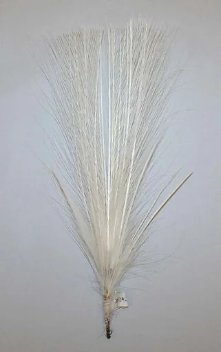 Aigrette