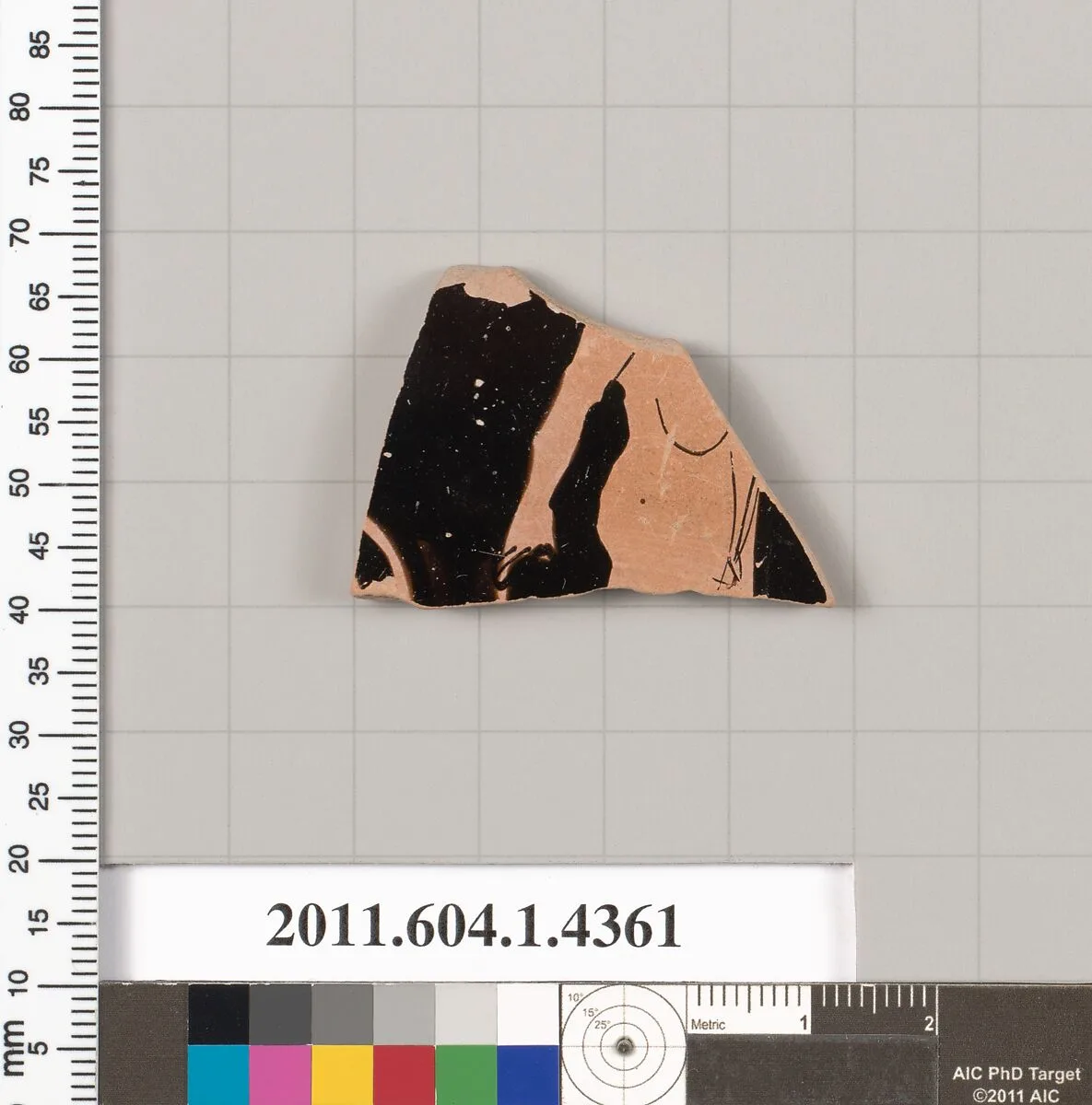 Terracotta fragment of a kylix (drinking cup) — Unknown