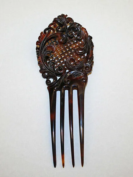 Comb — Unknown