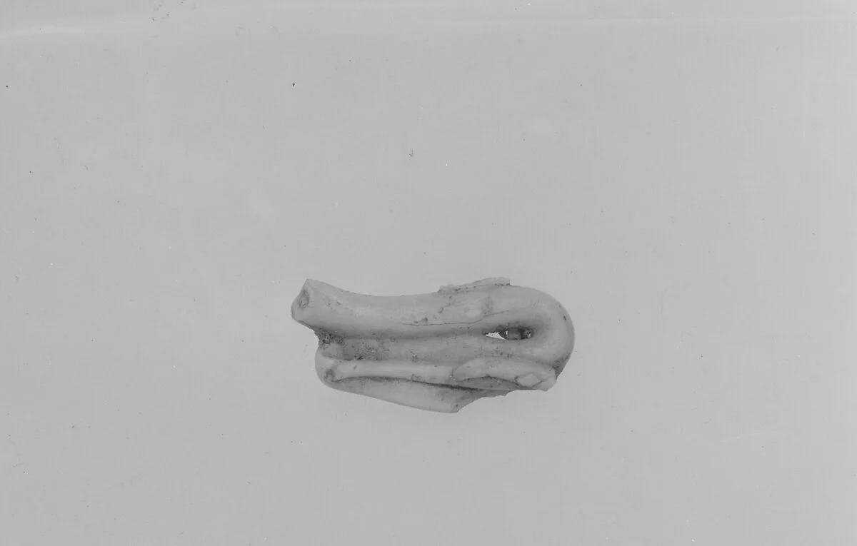 Fragment — Unknown