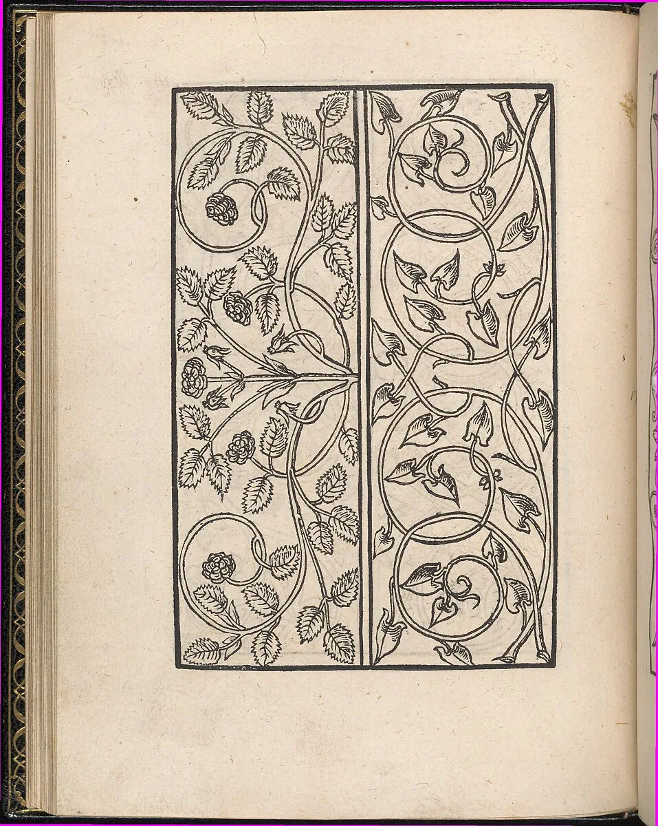 Page from Ein new kunstlich Modelbuch...(Page 17v) — Peter Quentel