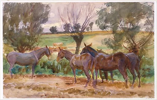 Mules