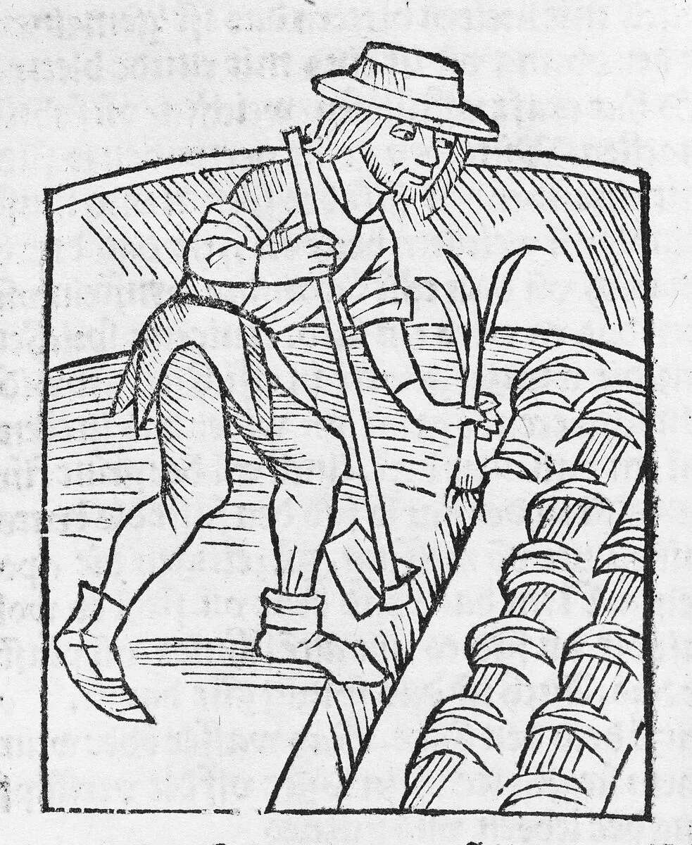 II) Der Ritter vom Turm, von den exenplen der Gotzfurcht und erberkeit. — Pietro Crescensis|Geoffroy de Latour-Landry|Marquart von Stein|Albrecht Dürer|Urs Graf|Terence (Publius Terentius Afer)|Michael Furter|Johann Grüninger