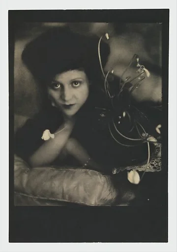 Cyclamen - Mrs. Philip Lydig