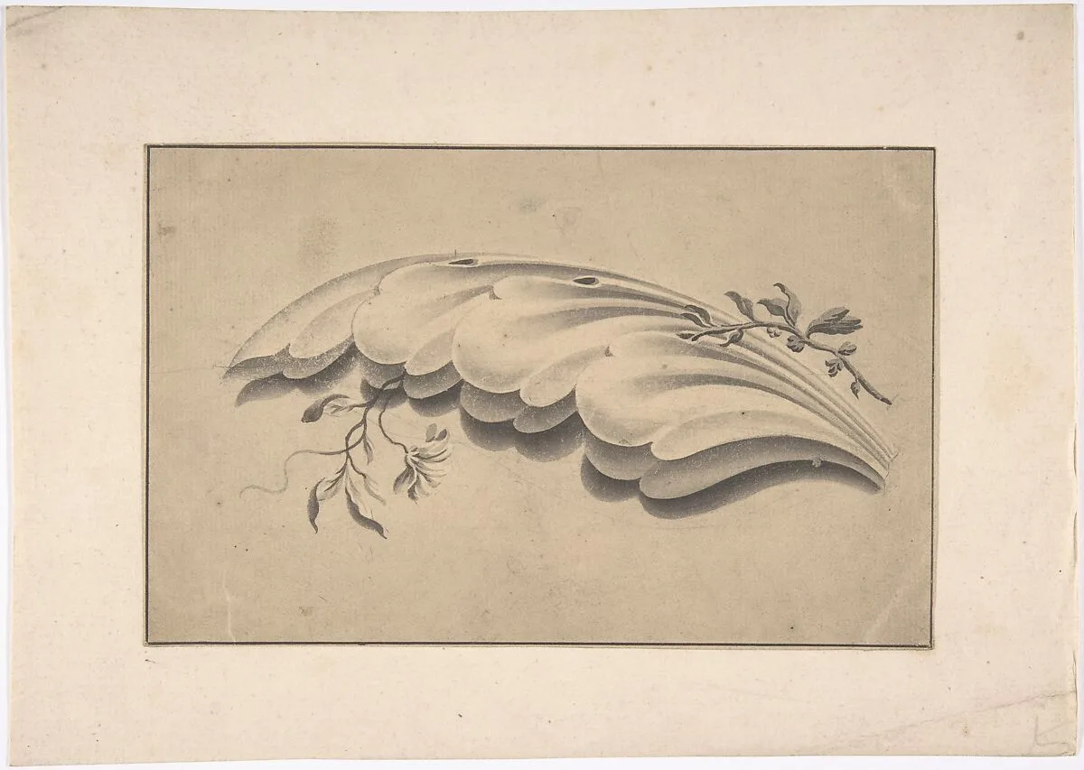 Acanthus Leaf and Flowering Vine Ornament — Anonymous, British, 19th century