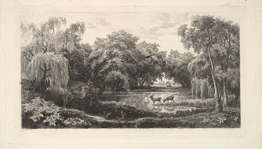 The Deer Pond