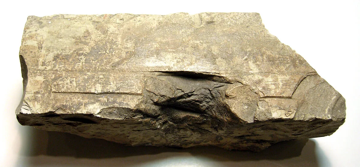 Raised relief fragment — Unknown