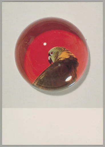 [Postcards produced for "Paperweights, Postcards, Pictures, Cannibalism", Centre d'Art Contemporain, Geneva]