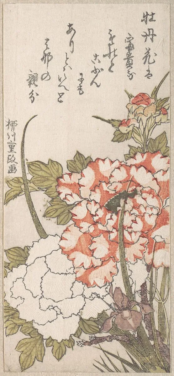 Untitled — Yanagawa Shigemasa