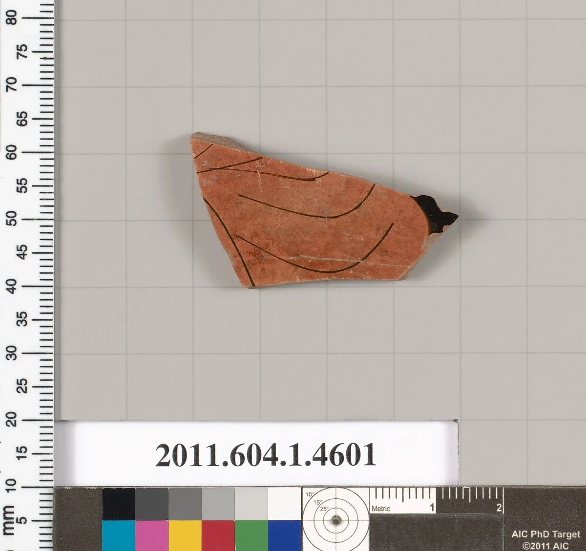Terracotta fragment of a kylix (drinking cup) — Unknown