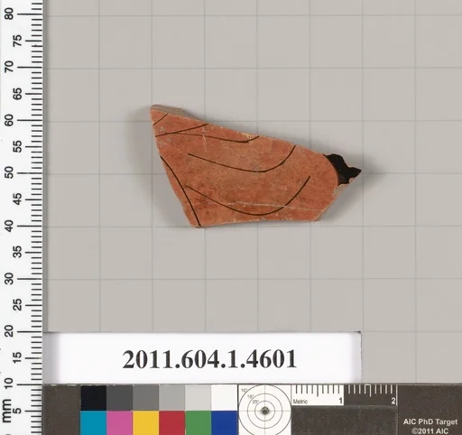 Terracotta fragment of a kylix (drinking cup)