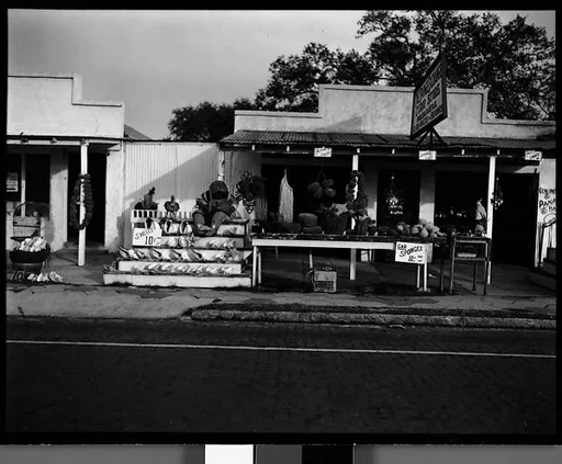 [Roadside Curio Stand, Florida]