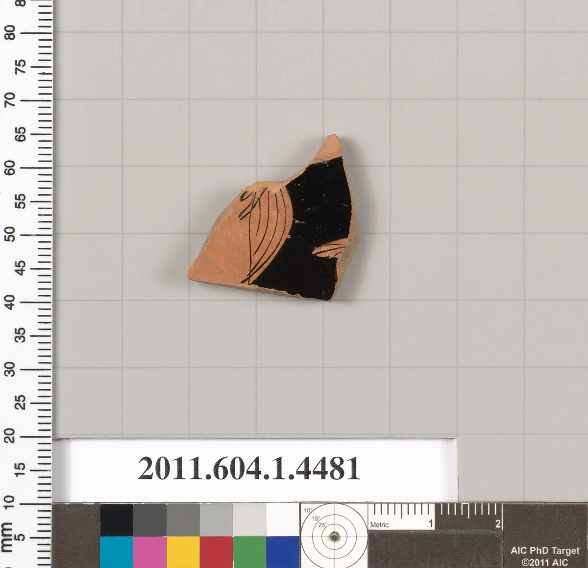 Terracotta fragment of a kylix (drinking cup) — Unknown