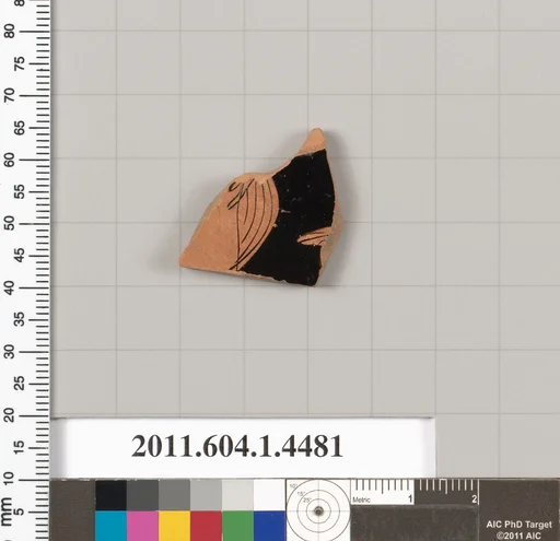 Terracotta fragment of a kylix (drinking cup)