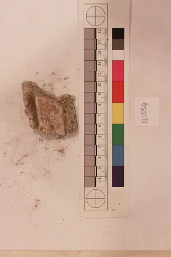 Stucco Fragment