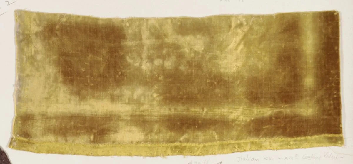 Fragment — Unknown