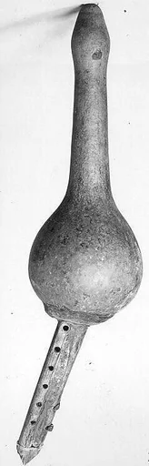Pūngī