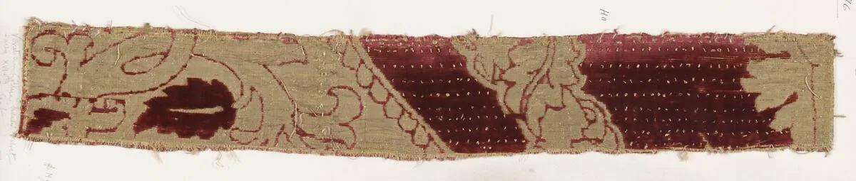 Fragment — Unknown