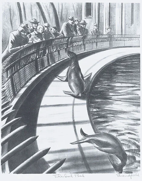 The Seal Pool — Dayton Brandfield|WPA