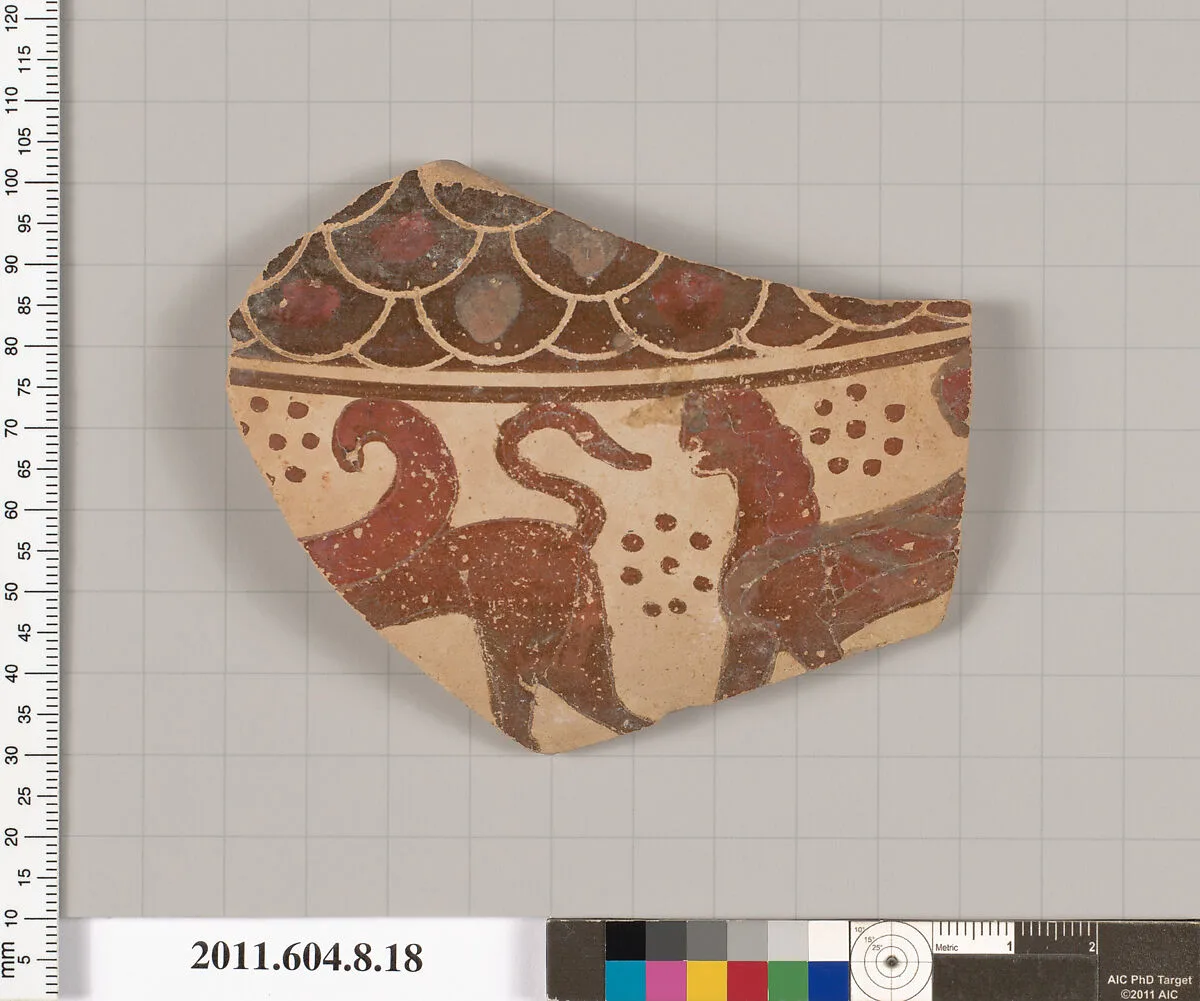 Terracotta fragment of an amphora (jar)? — Unknown