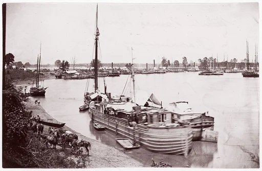 [Barges, Transports, and Horses, White House Landing, Pamunkey River, Virginia]