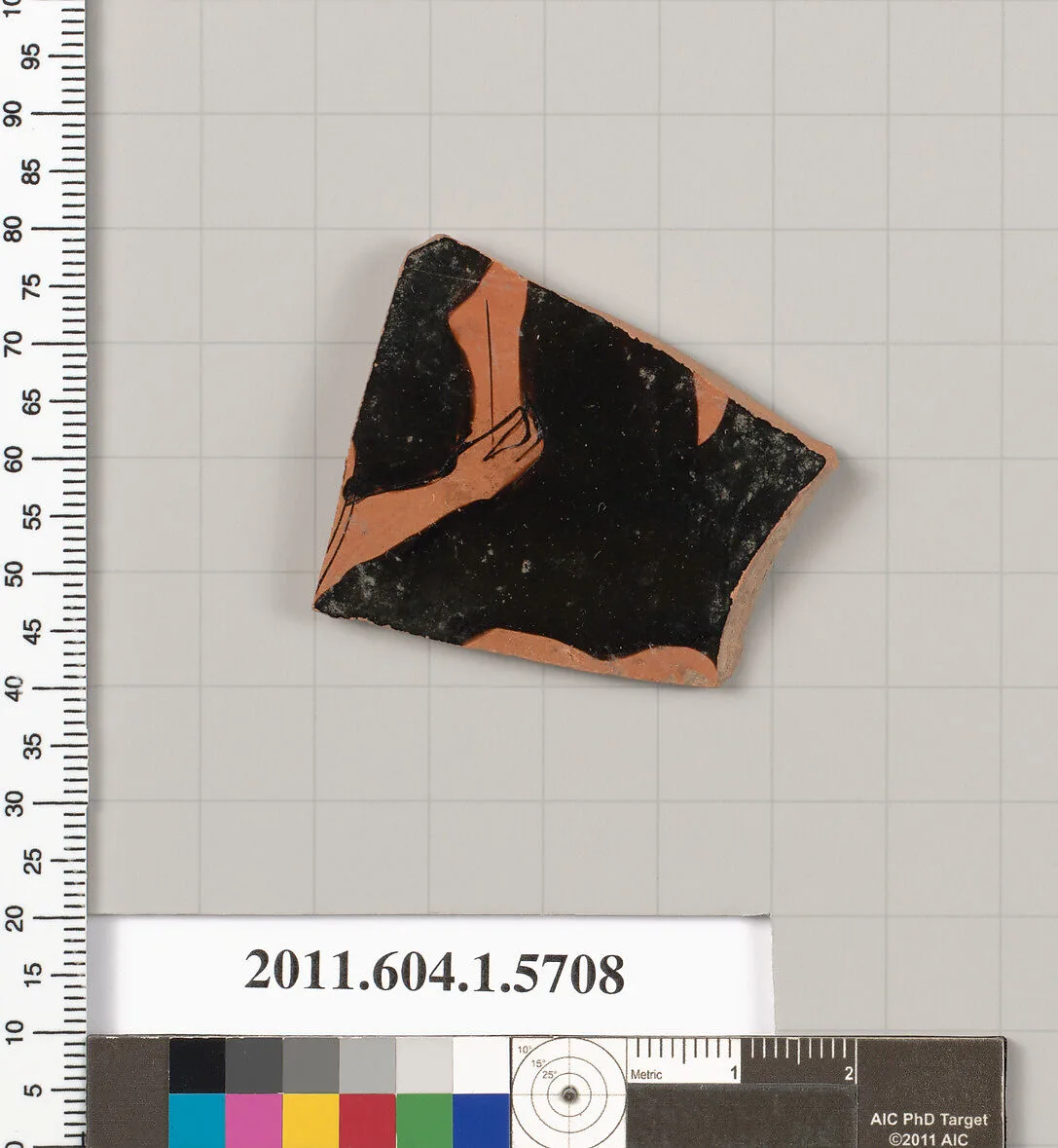 Terracotta fragment of a kylix (drinking cup) — Unknown