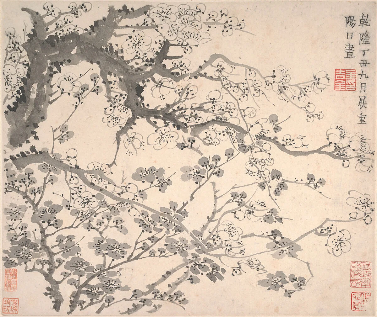 清 金農 墨梅圖 冊|Plum blossoms — Jin Nong