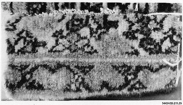 Carpet Fragment — Unknown