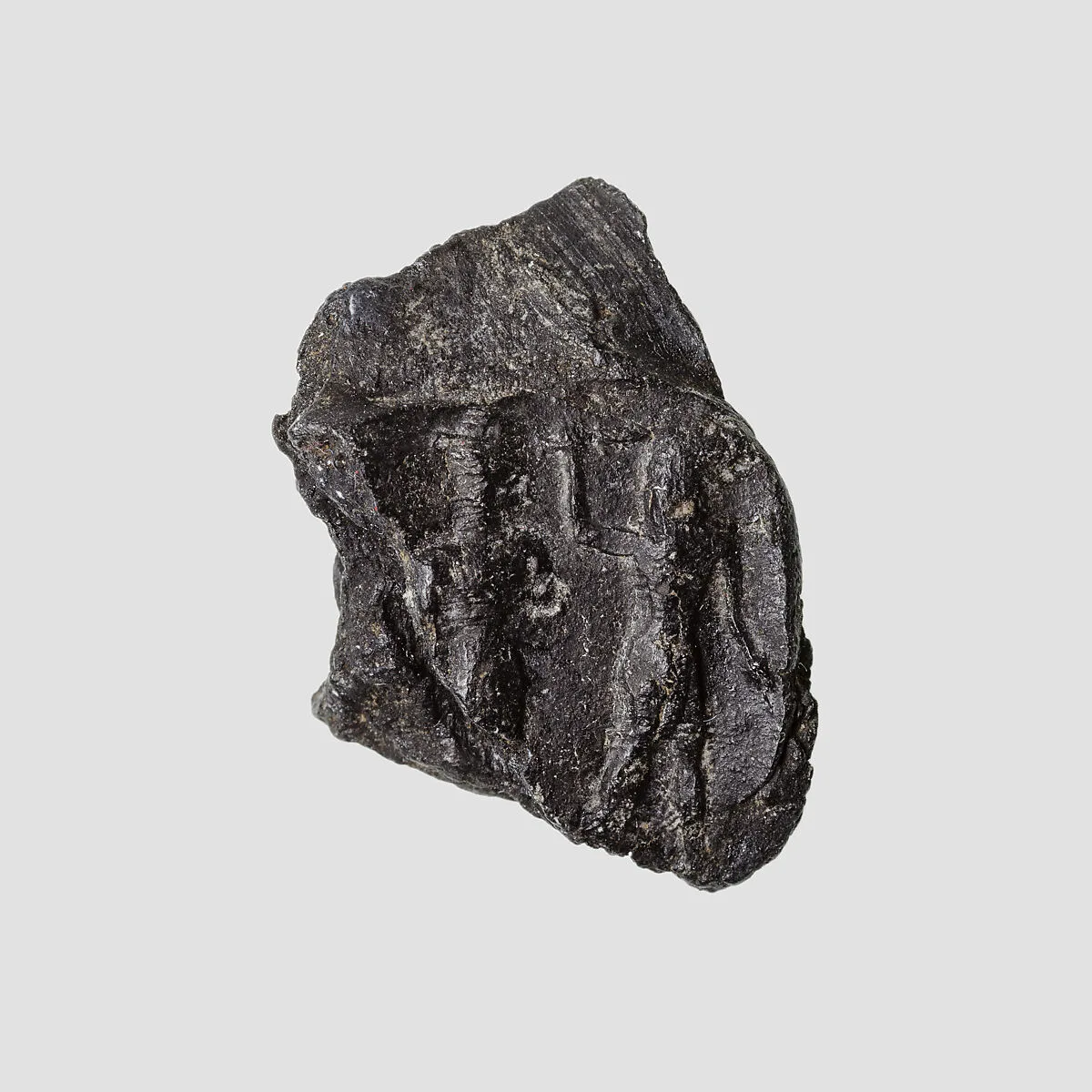 Cylinder seal impression — Unknown