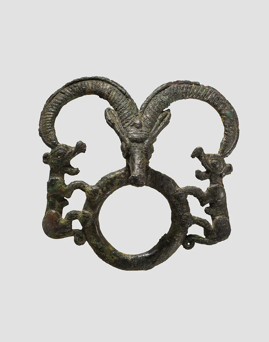 Harness ring — Unknown