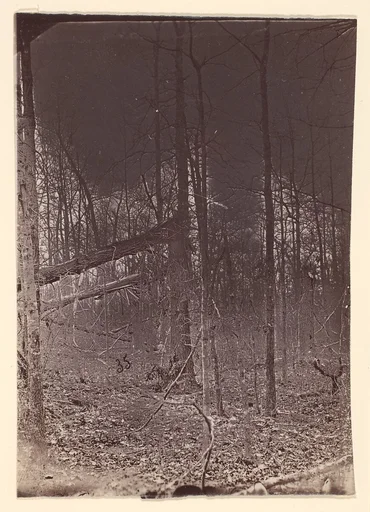 [The Wilderness Battlefield]