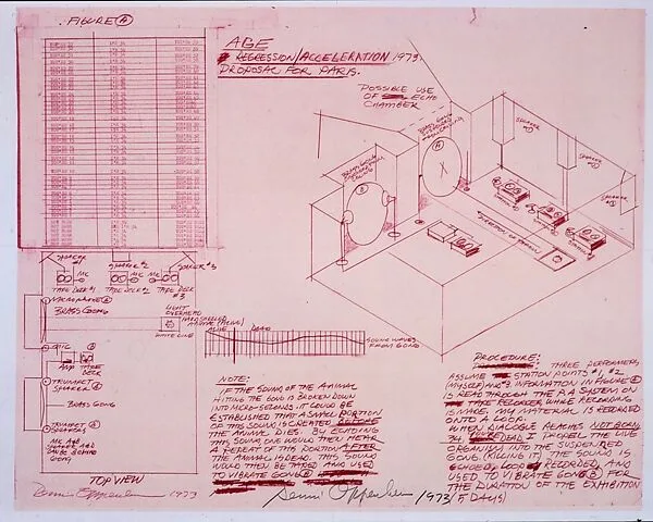Age. Regression/ Acceleration. — Dennis Oppenheim