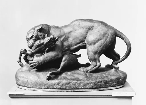 Tiger attacking an antelope