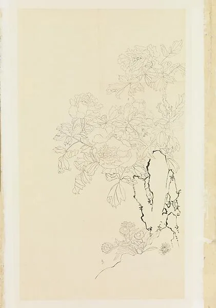 現代 謝稚柳 牡丹翠菊圖 鏡片|Peonies, Asters, and Rock — Xie Zhiliu